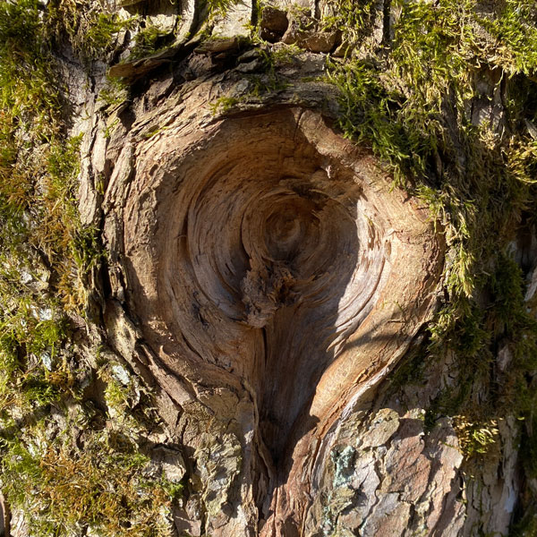 henning_natur_03