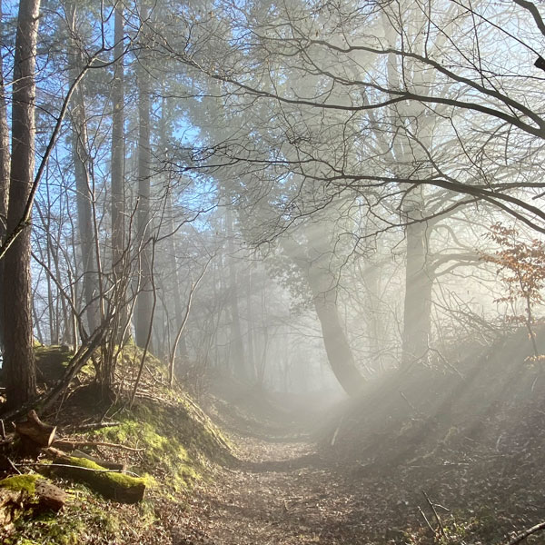 henning_natur_05